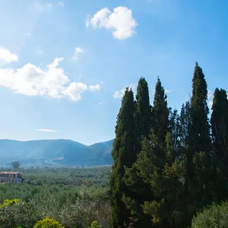 Dimitrios Agios Dimitrios (Zakynthos)