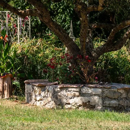 Dimitrios House - 2 Bedrooms & Cozy Atmosphere, By Zantewize Agios Dimitrios (Zakynthos)