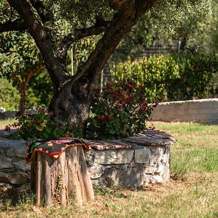 Dimitrios House - 2 Bedrooms & Cozy Atmosphere, By Zantewize * Agios Dimitrios (Zakynthos)